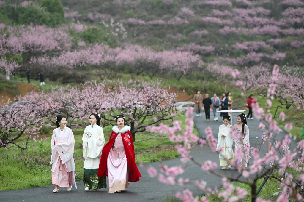 春日花开